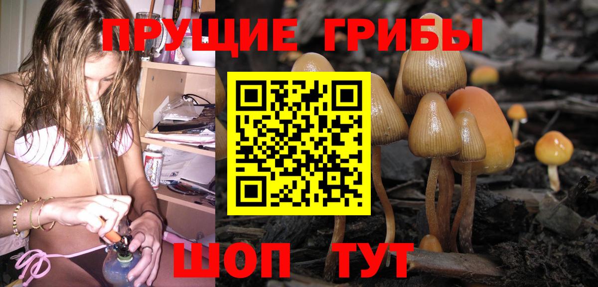 Псилоцибиновые грибы GOLDEN TEACHER  Псилоцибиновые грибы GOLDEN TEACHER  Вход с VPN  Воткинск 