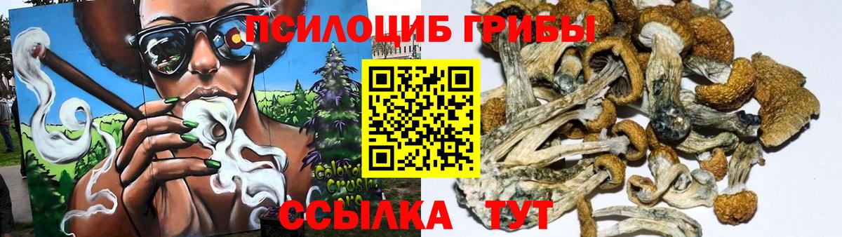 Галлюциногенные грибы мицелий Воткинск